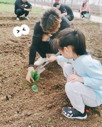 -麦粒鸟亲子游