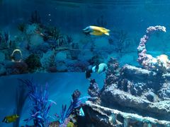 -海合安成都极地海洋公园