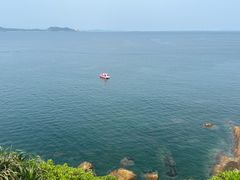 -杨梅坑
