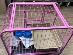 -中农大我爱我爱24h动物医院·中医针灸·猫专科·骨科医疗中心(双井店)