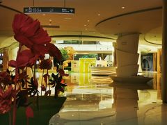 -棕榈MALL