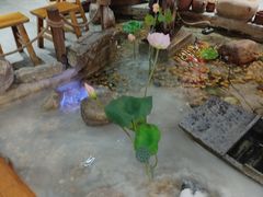 -寻钵记民菜馆·正宗常德钵子菜(滨湖路店)