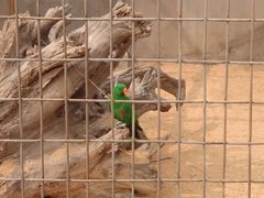 -石家庄市动物园