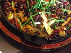 -老板恋上鱼(环山路店)