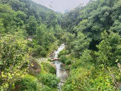 -云溪植物园