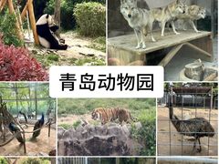 -青岛动物园