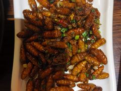 -土蚝·高压锅生蚝(百姓美食街店)