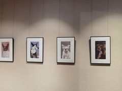 -淮国旧H22·中古店