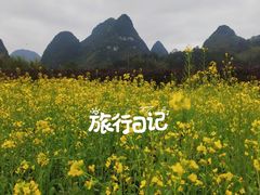 -靖西鹅泉风景区
