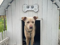 -嘉北郊野公园