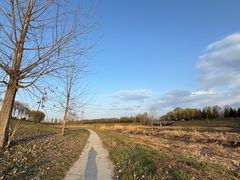 -洨河生态公园