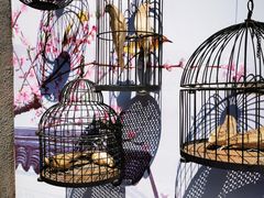-龙湖星悦荟(颐和店)