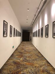 -西安威斯汀大酒店·宴会厅