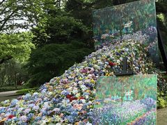 -上海共青森林公园