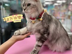 -FAELING PETS美天灵宠物(合生汇店)