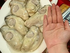-花苑美食横琴生蚝火锅(拱北粤华路店)