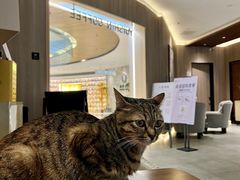 -YUISHINCOFFEE(愈欣咖啡石岩店)