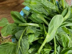 -泸州酸菜豆花火锅川师店