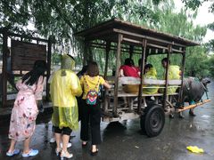 -杭州双溪漂流景区