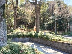 -梦姑塘文化公园