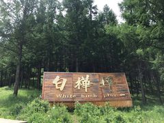 -塞罕坝国家级自然保护区