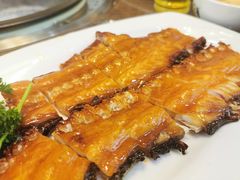 -港升鱼师傅·中山脆肉鲩