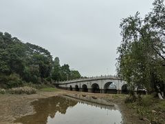 -水濂山森林公园