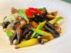 -张生记(丁香国际店)
