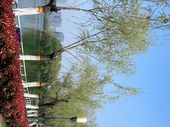 -天鹅湖体育公园