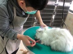 -宠颐生宠物医院·骨外科·犬猫全科诊疗中心(池州店)