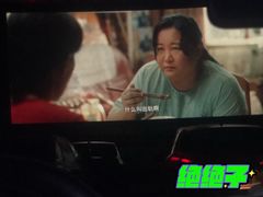 -枫花园汽车电影院(朝阳公园店)