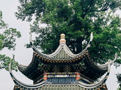 -南华禅寺