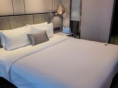 -和颐至尊酒店(上海人民广场南京路步行街店)