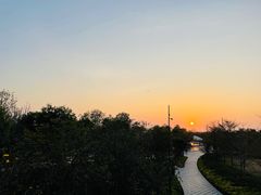 -宝安西湾红树林湿地公园
