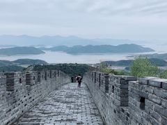 -黄贤森林公园