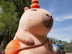 -北京野生动物园