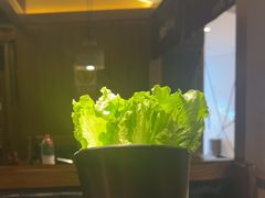 -九田家黑牛烤肉料理(新辰里亚运村店)