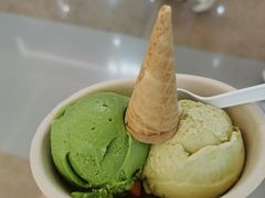 -极拉图·现制冰淇淋(大卫城店)