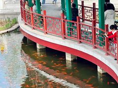 -西海子公园