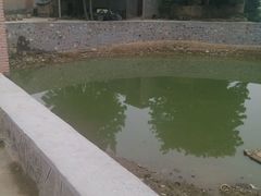 android_upload_pic-过锅瘾三汁焖锅(东星时代广场店)