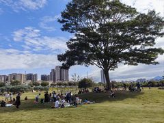-风云岭森林公园