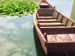 -前关湿地公园