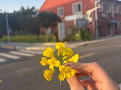 -同济大学(沪西校区)