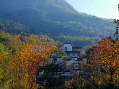 -塔川景区