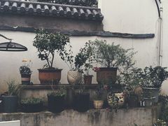 -她说户外烧烤团建(西湖店)