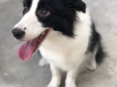 -上海潜殿潜水中心