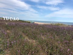 -渔岛海洋度假区