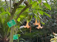 -南宫五洲植物乐园