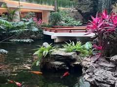 -广州白天鹅宾馆