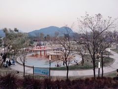 -白石龙音乐公园